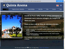Tablet Screenshot of anema.com.pt
